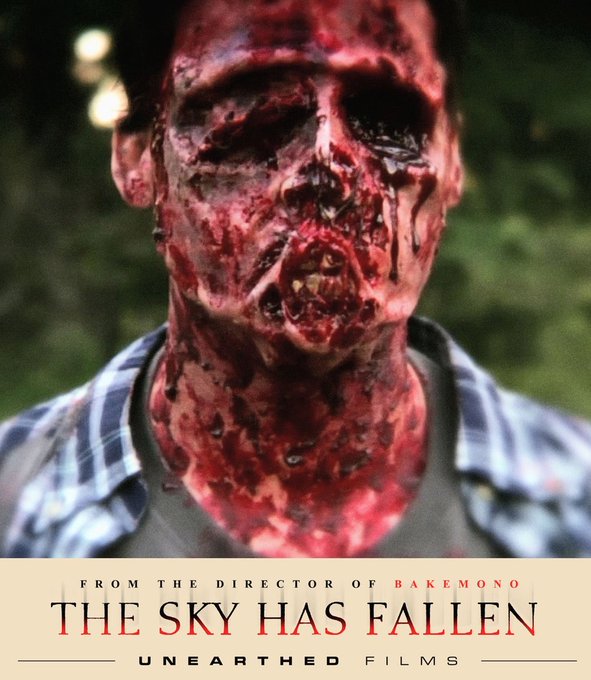 The Sky Has Fallen Blu-ray Cover Art